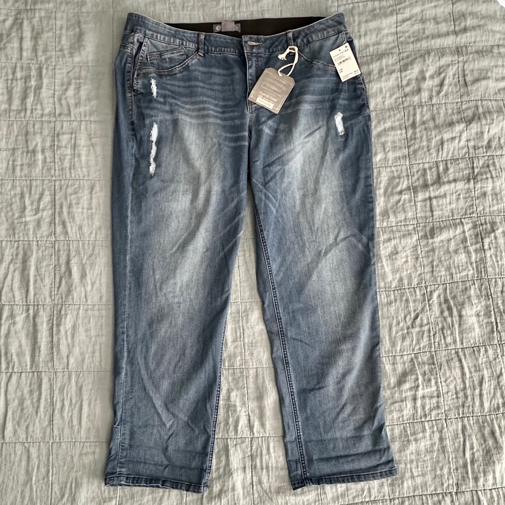 Democracy "Curve Equality" cropped denim jeans, Plus size 22W, NWT - Picture 2 of 8